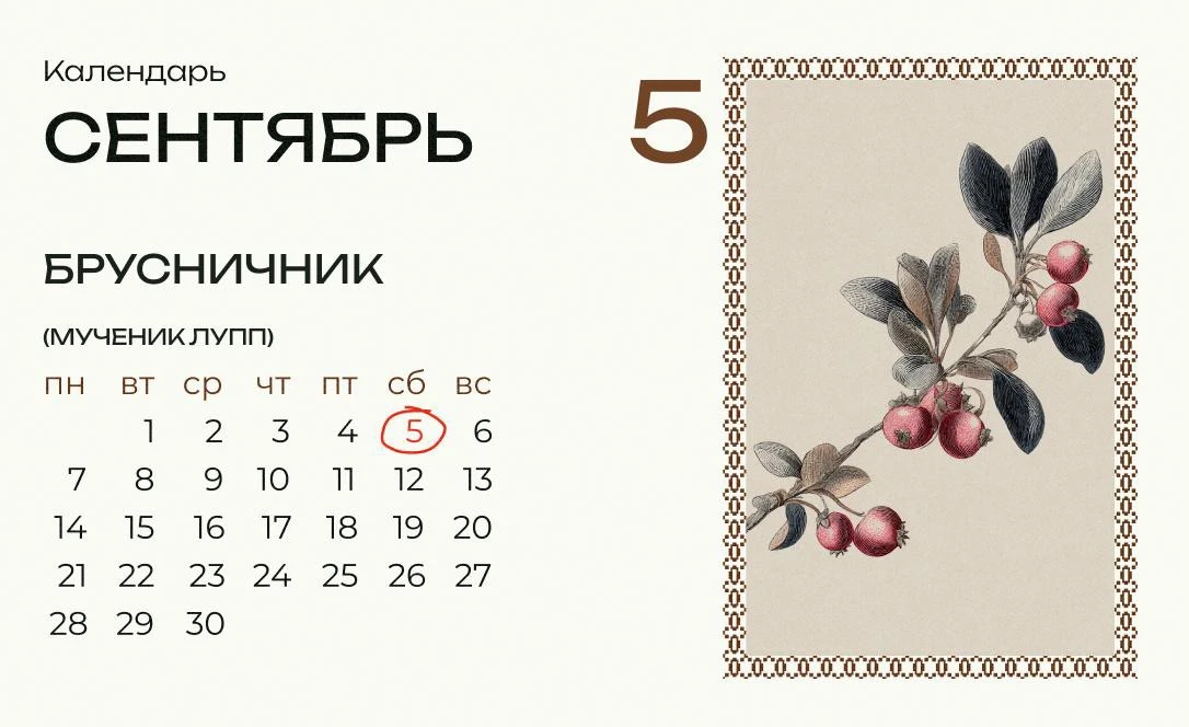 Сегодня Лупп-Брусничник!