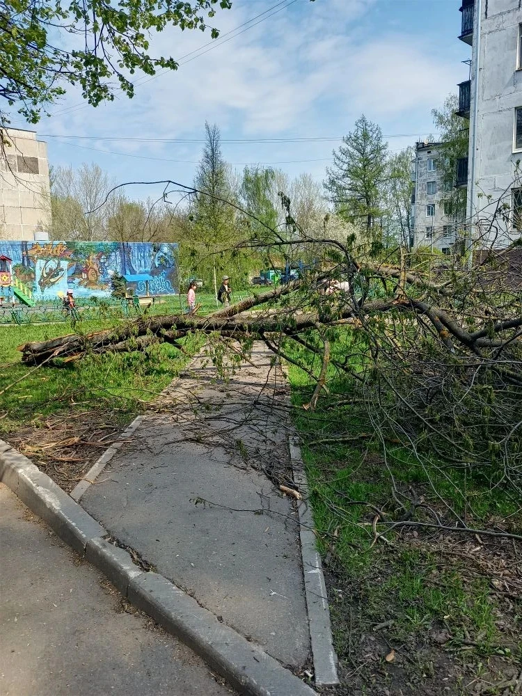 Пошла вторая неделя...