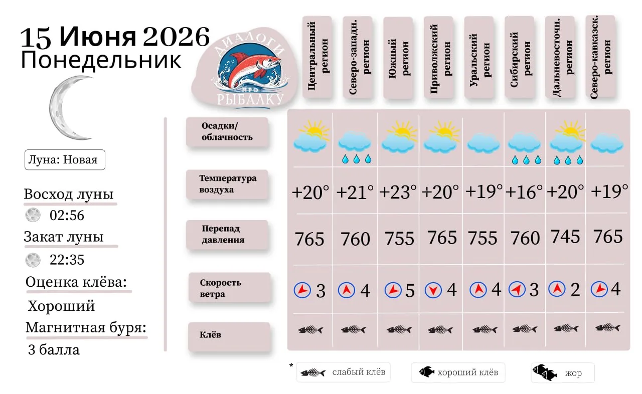 Прогноз клёва на 15  июня по фазе и состоянию луны 🎣