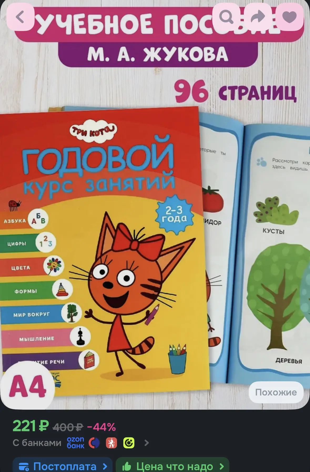 Годовой курс занятий