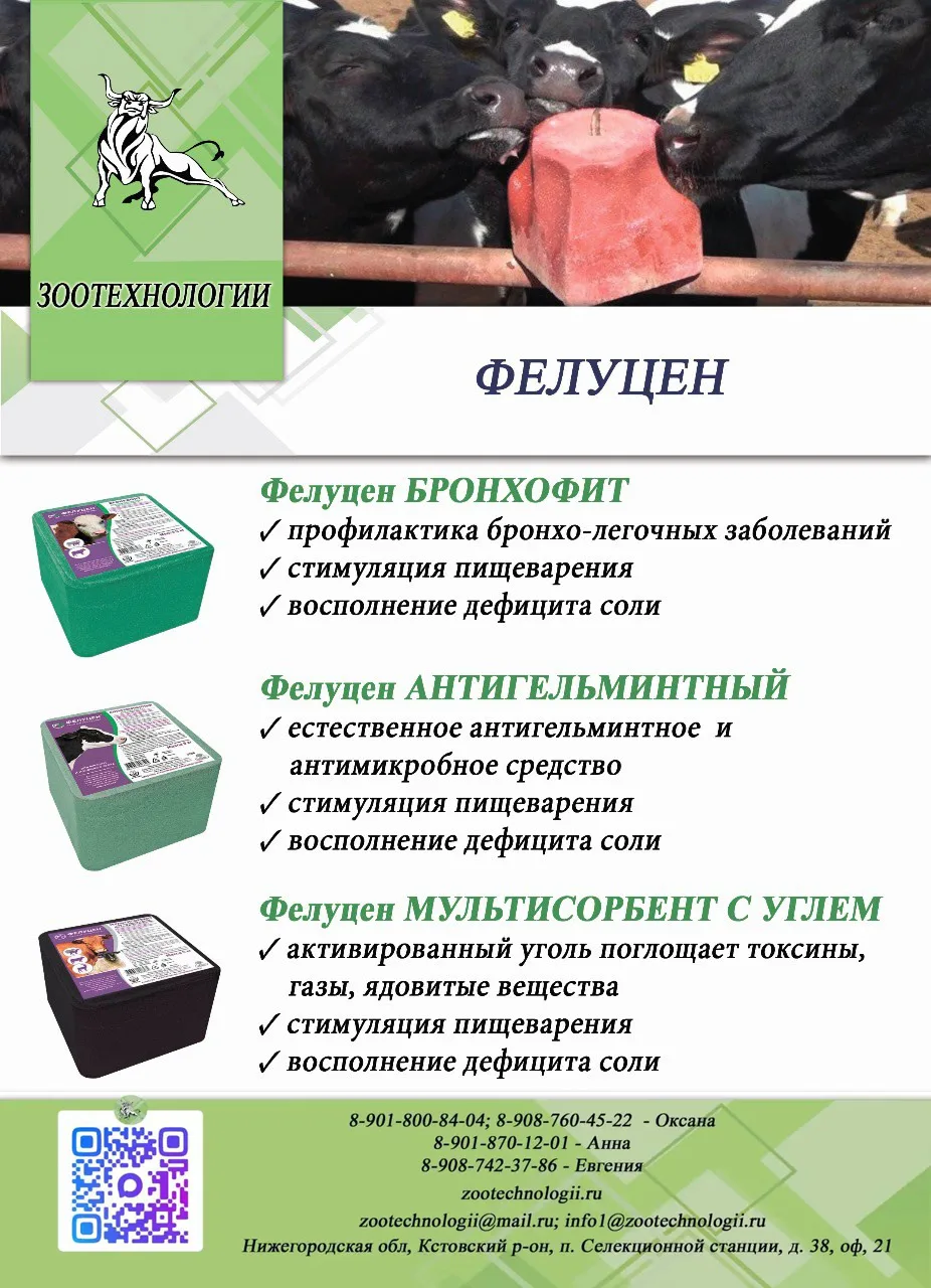 🐮 Здоровье стада начинается с лизунца: 3 решения «Фелуцен» для защиты от болезней, пар...