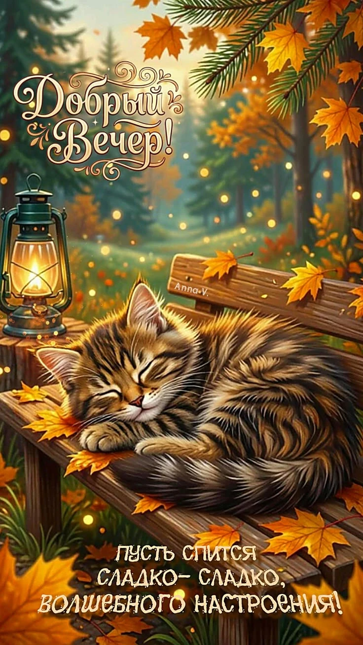 Хорошего вечера! Приятного отдыха! ✨💐
