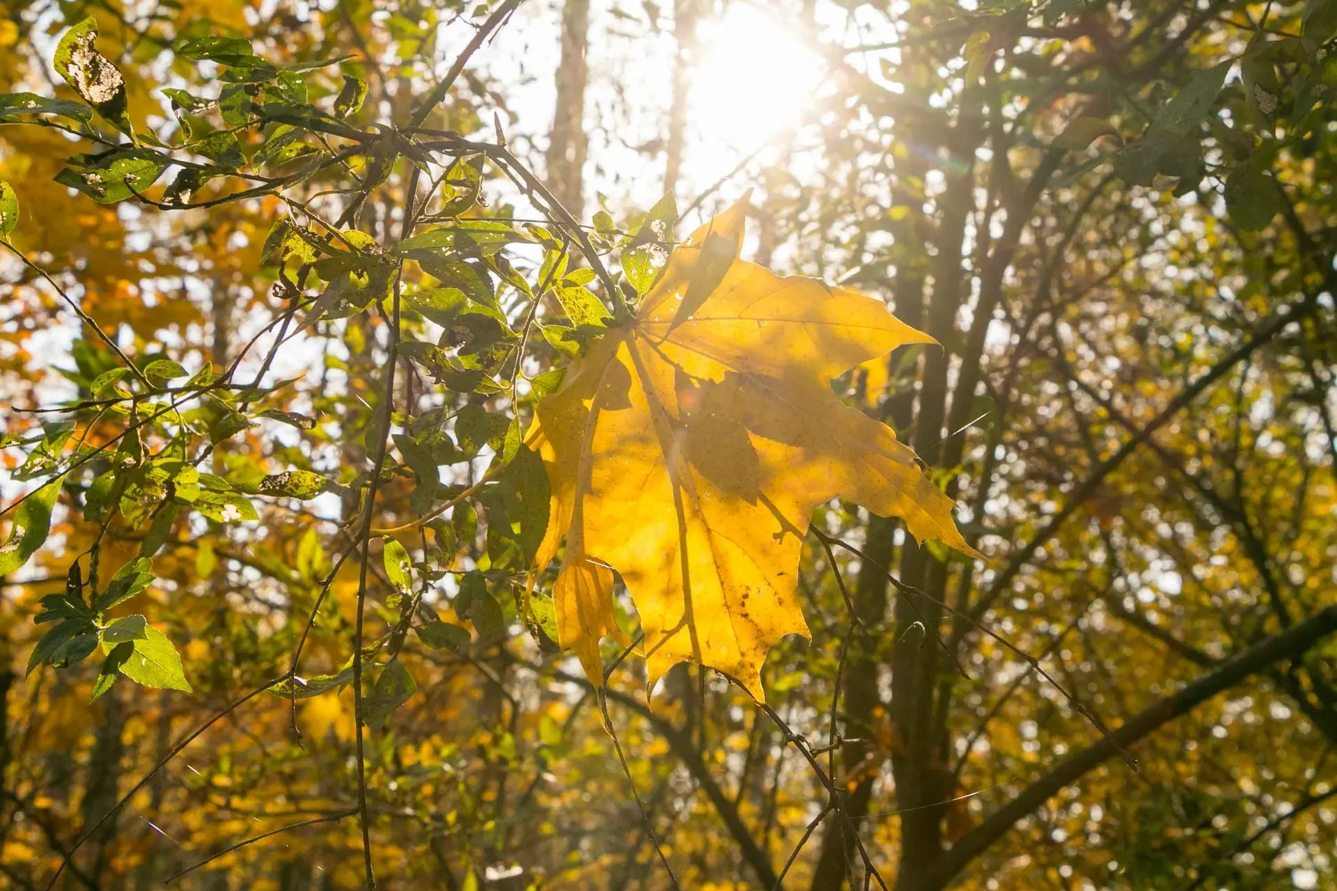 Доброе утро! 🍂