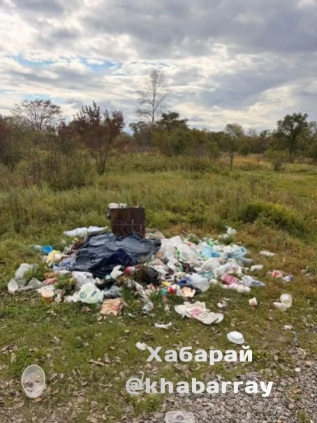 После праздников в лесу остался мусор