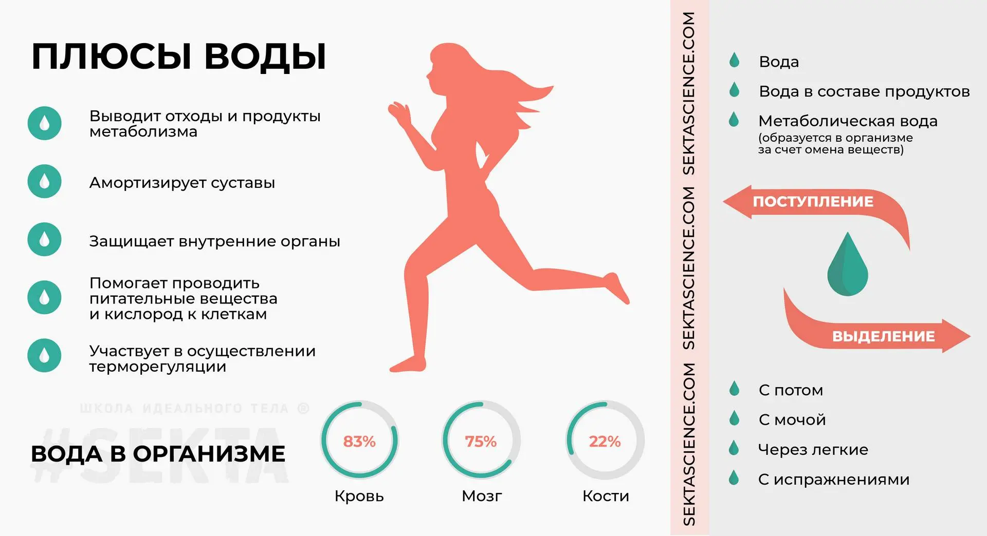Даже если жара уже не такая сильная, важно поддерживать водный баланс. Пей воду в течен...