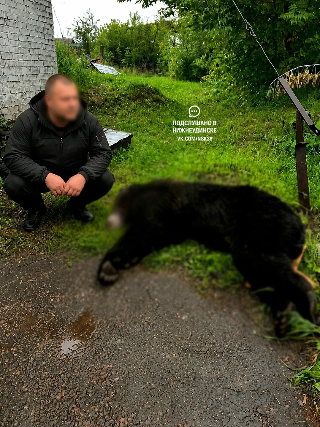 уже только ленивый не сфоткался с бедным медведем анон