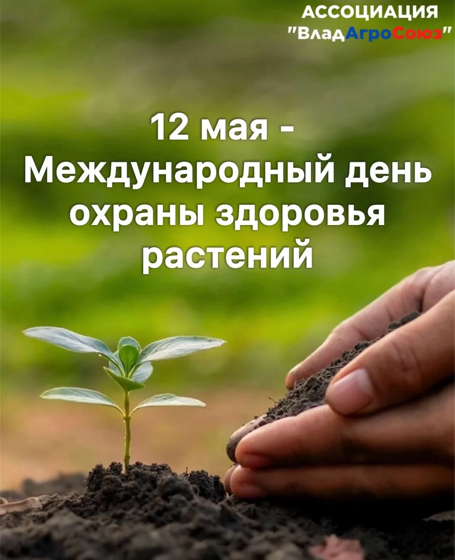 Сегодня отмечается Международный день охраны здоровья растений. Для Ассоциации «ВладАгр...