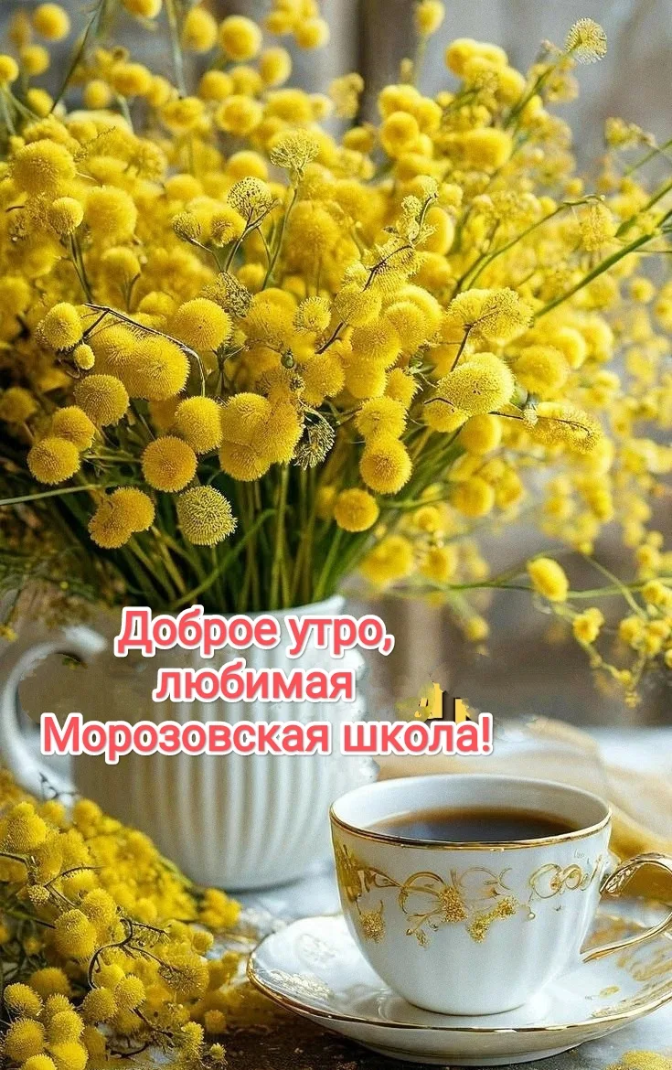 🔆 С добрым утром, уважаемые подписчики и гости канала МБОУ МОРОЗОВСКАЯ ООШ!