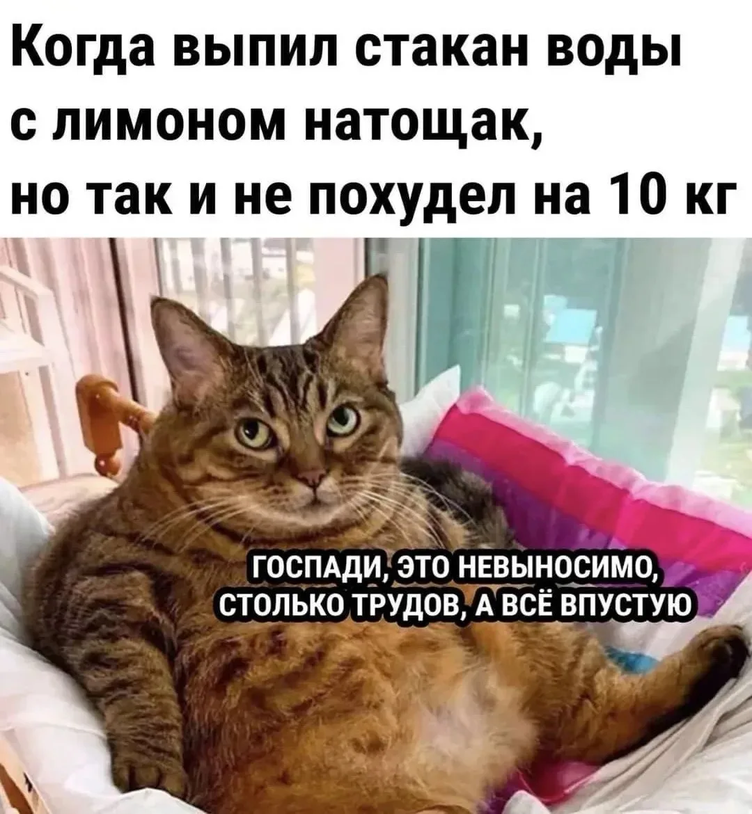 Метод, как собрать тарелку, я подсмотрела у Юли. И она - абсолютно наш человек.