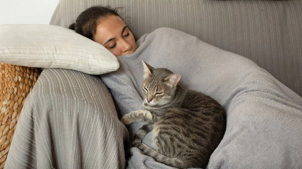 🐈Сон с кошками усиливает иммунитет, — Минздрав.