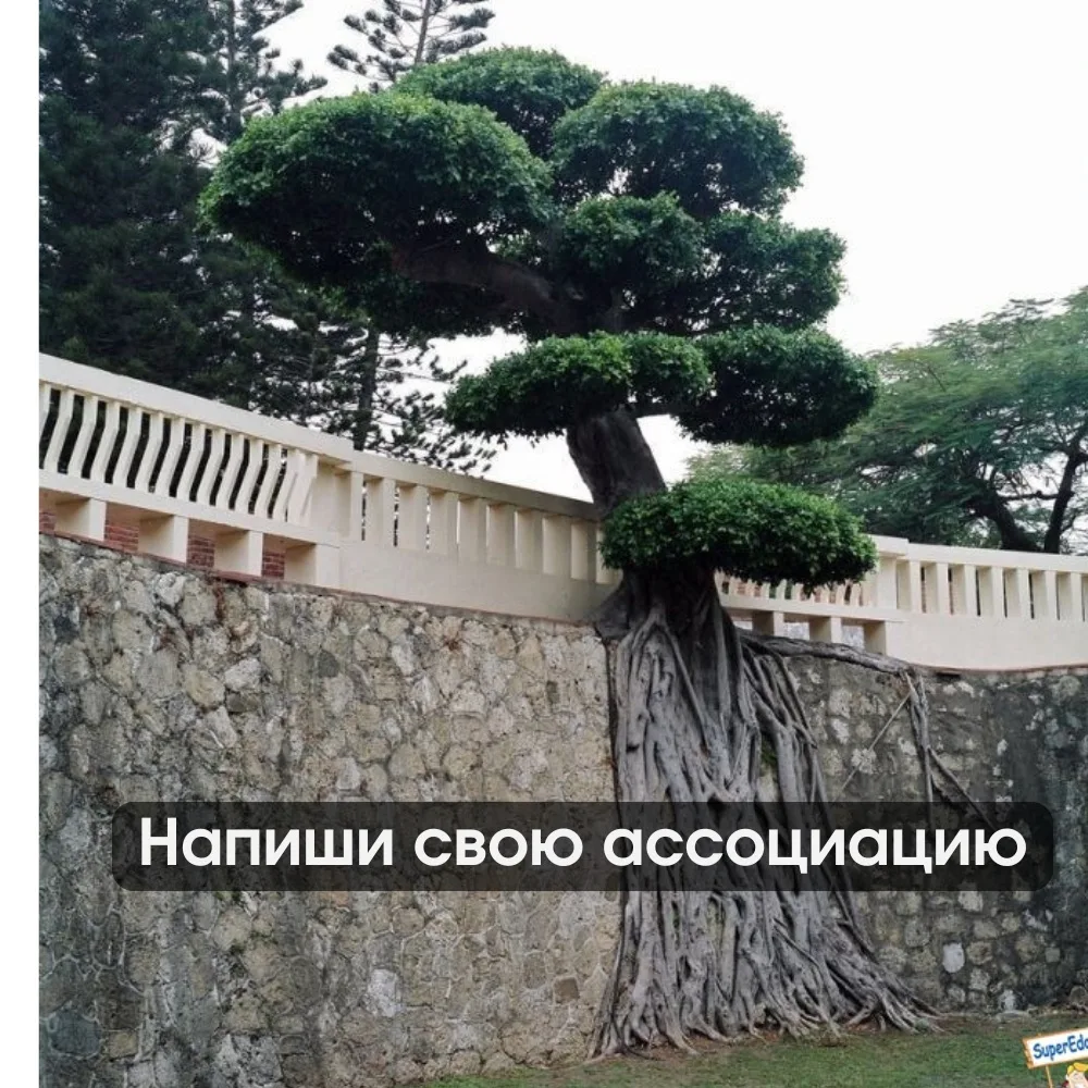 О чем это для вас? Как откликается? Напишите в комментариях свою ассоциацию на карту.