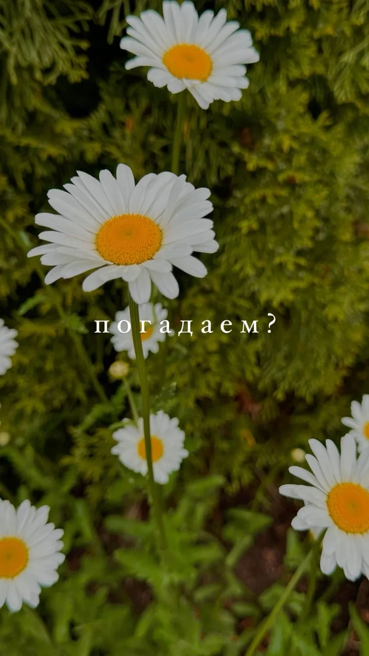 Девчонки, привет!