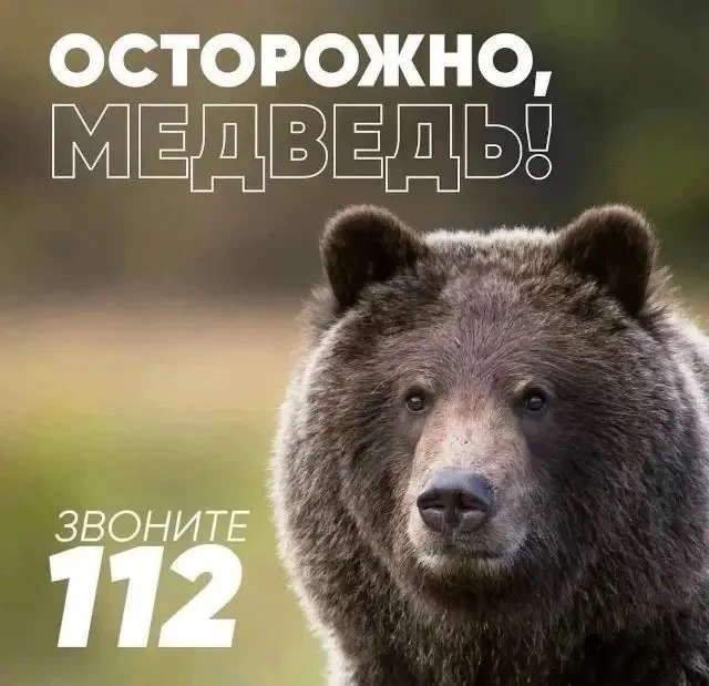 Уважаемые жители Мариинского муниципального округа!