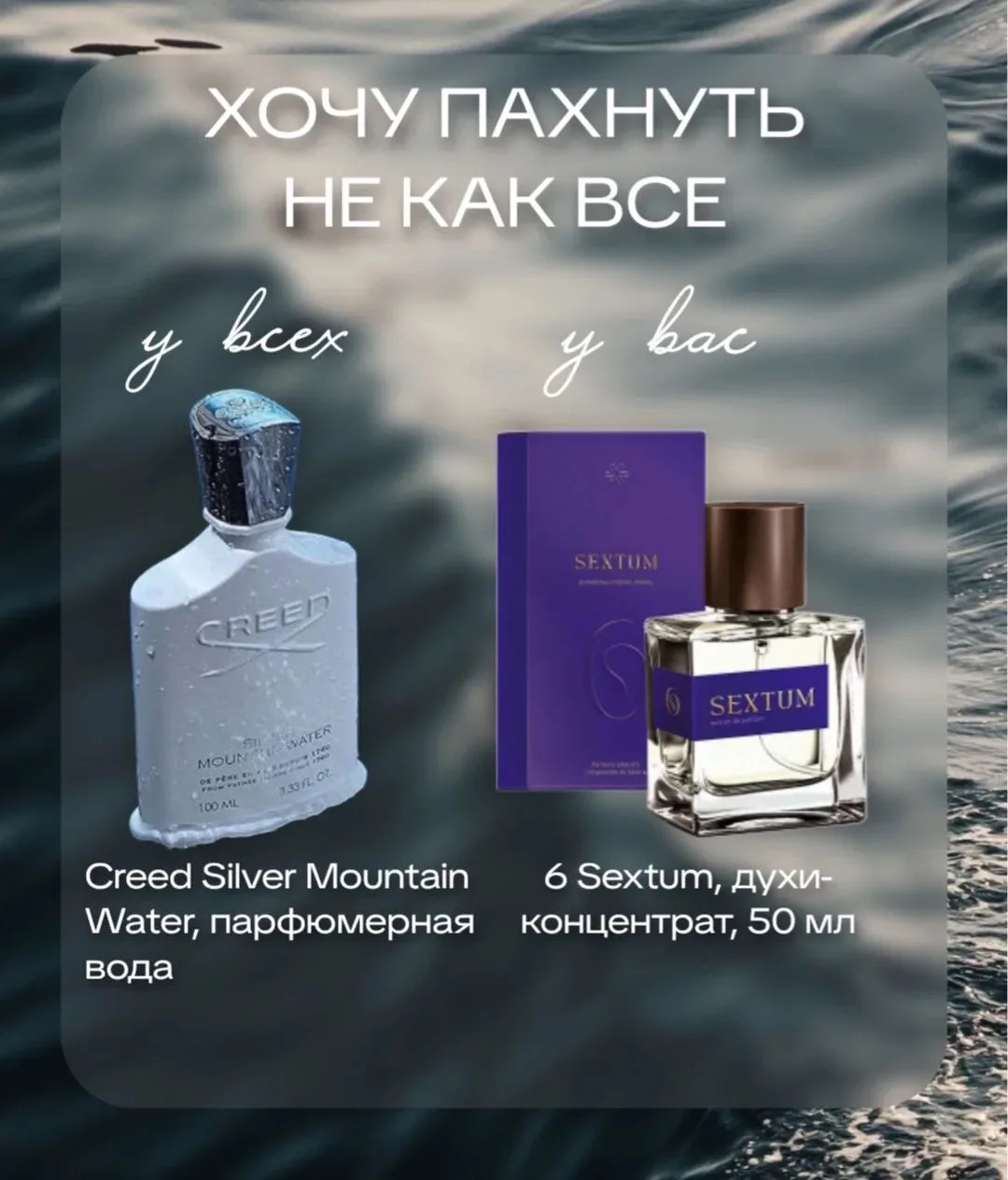 🌿 6 Sextum - Siberian Wellness