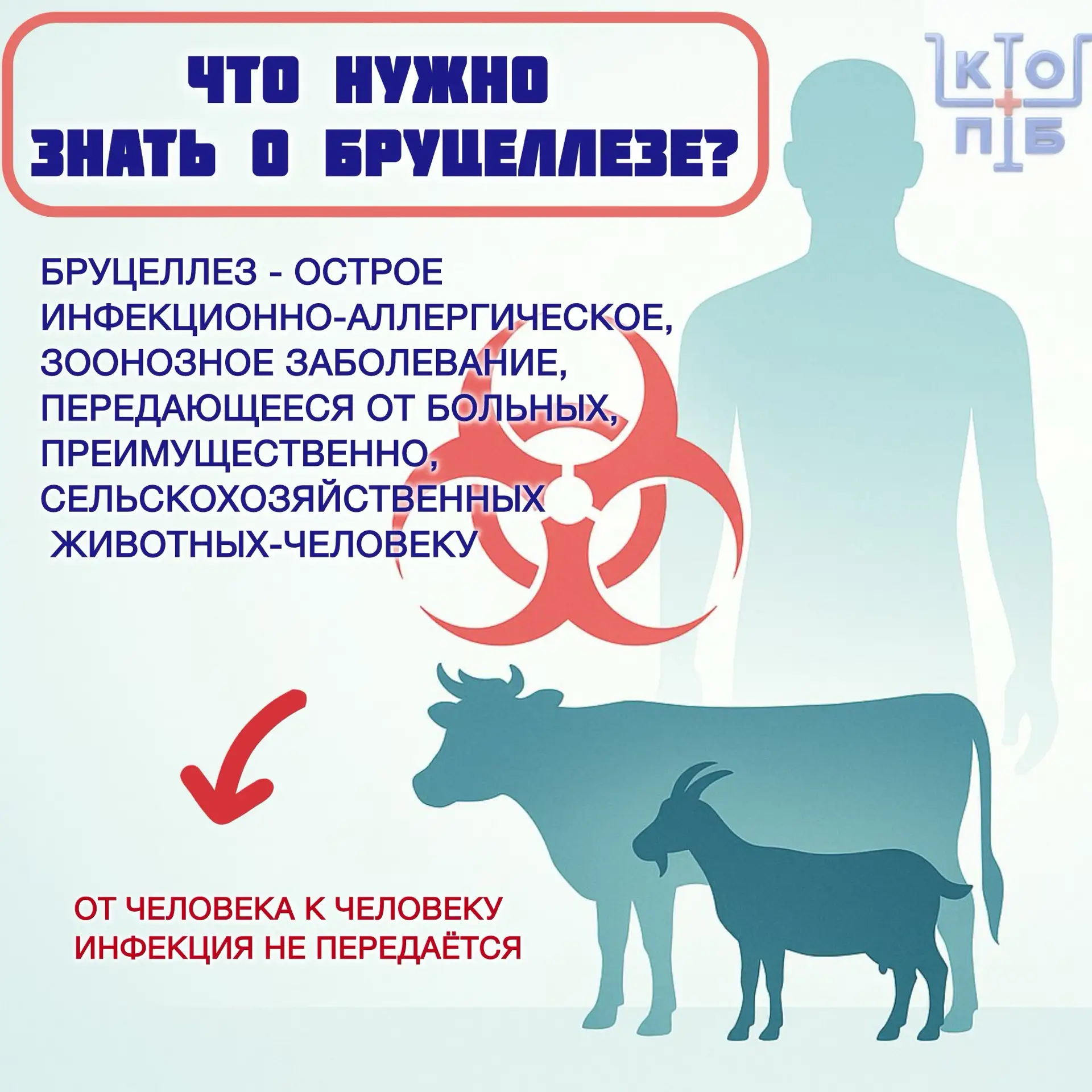 ❗️⚠️ Что важно знать о бруцеллезе?⚠️❗️