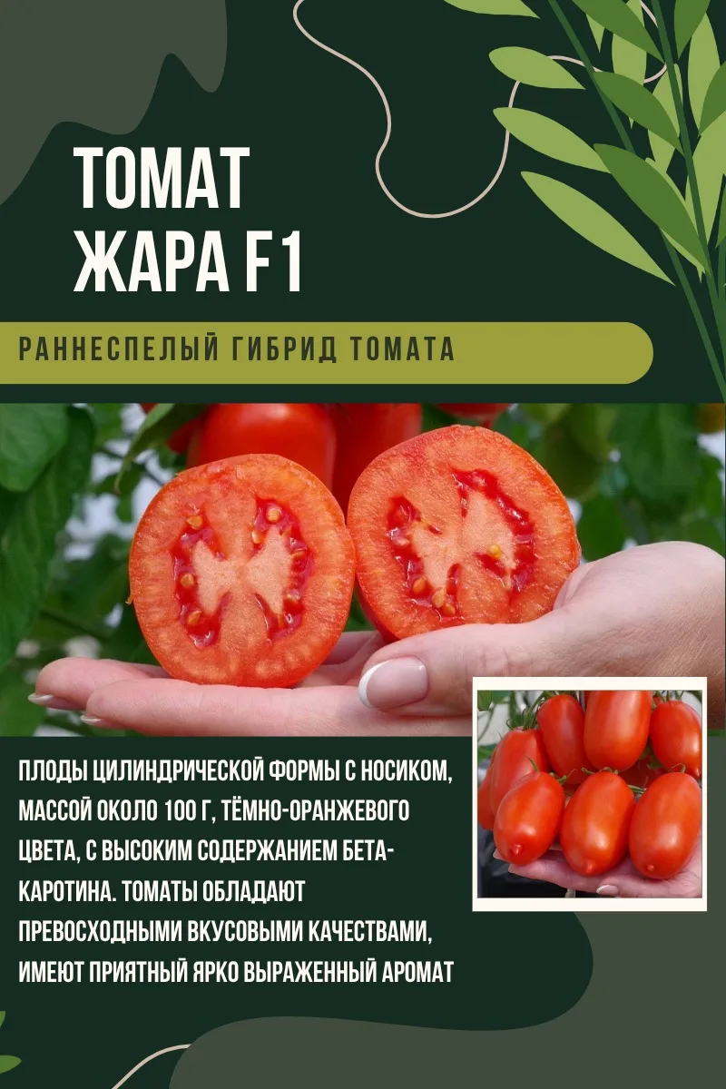 🍅 ТОМАТЫ ДЛЯ КОНСЕРВАЦИИ: ПЛОТНЫЕ И УРОЖАЙНЫЕ СОРТА Если вы делаете заготовки, то точно знаете — не 