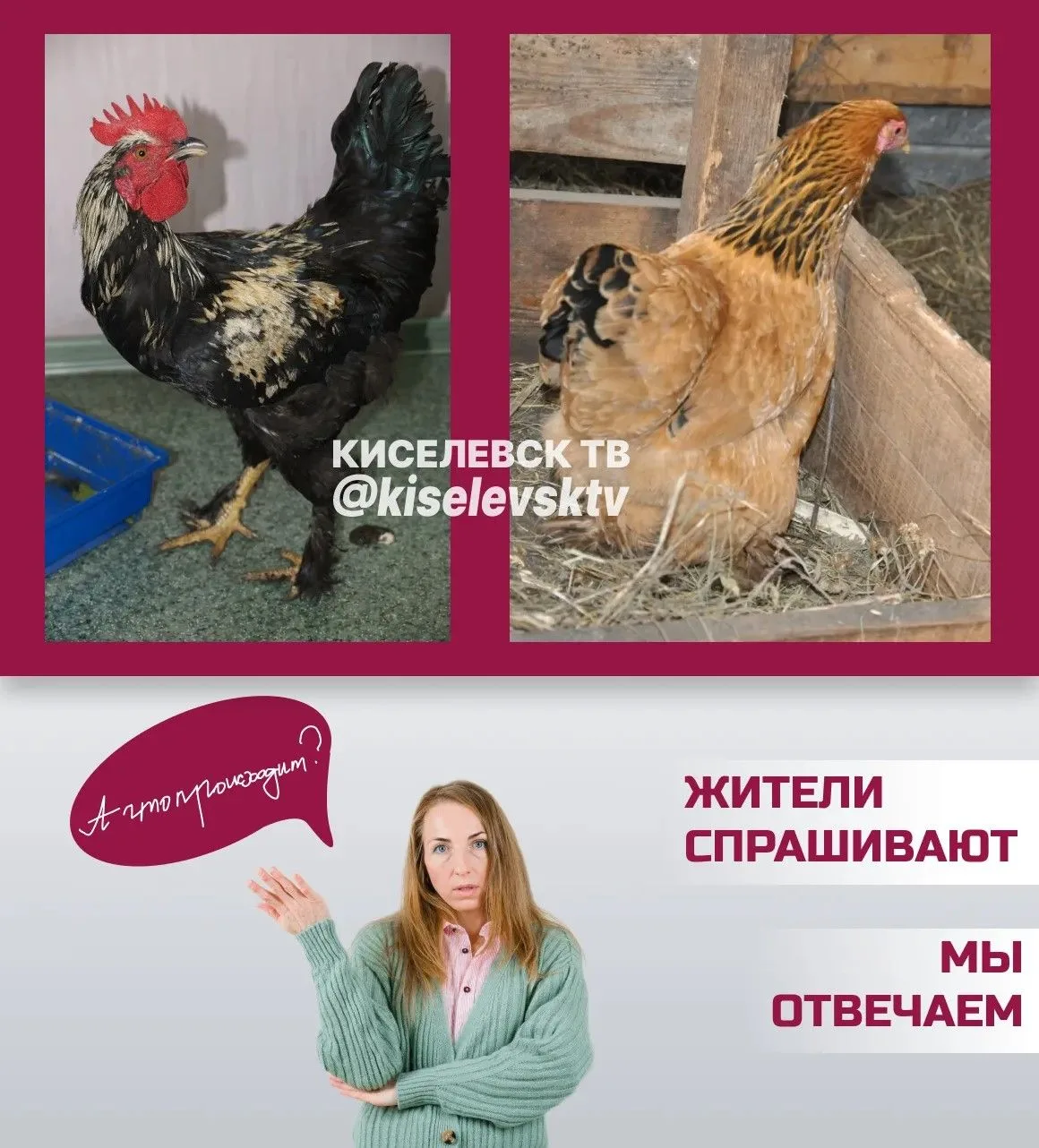 Подписчица взволнована: «Говорят, с 1 сентября нужно как-то регистрировать у ветеринаро...