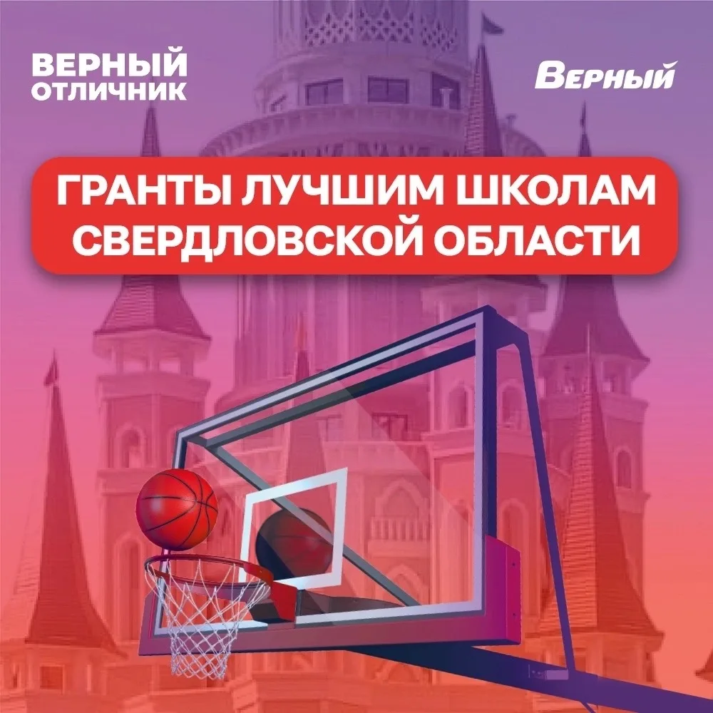 🏆 Наша школа — лучшая в области!