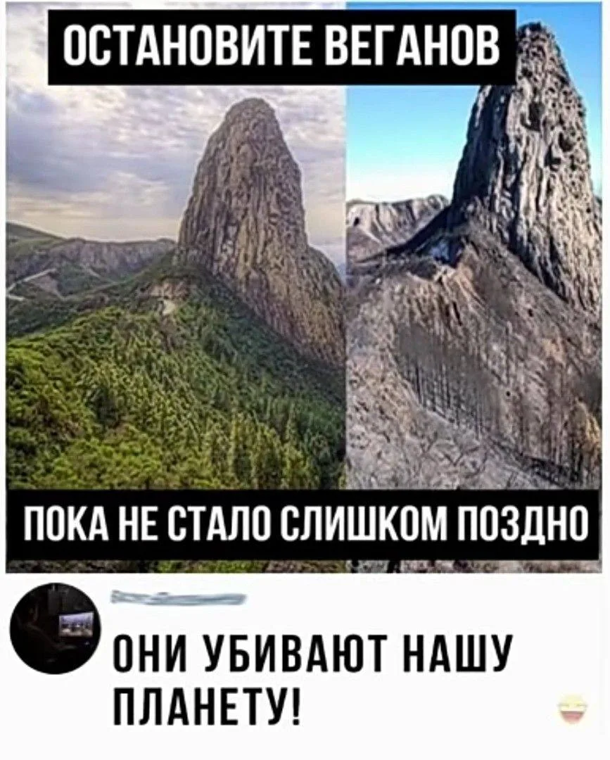 Кино Абсурдус