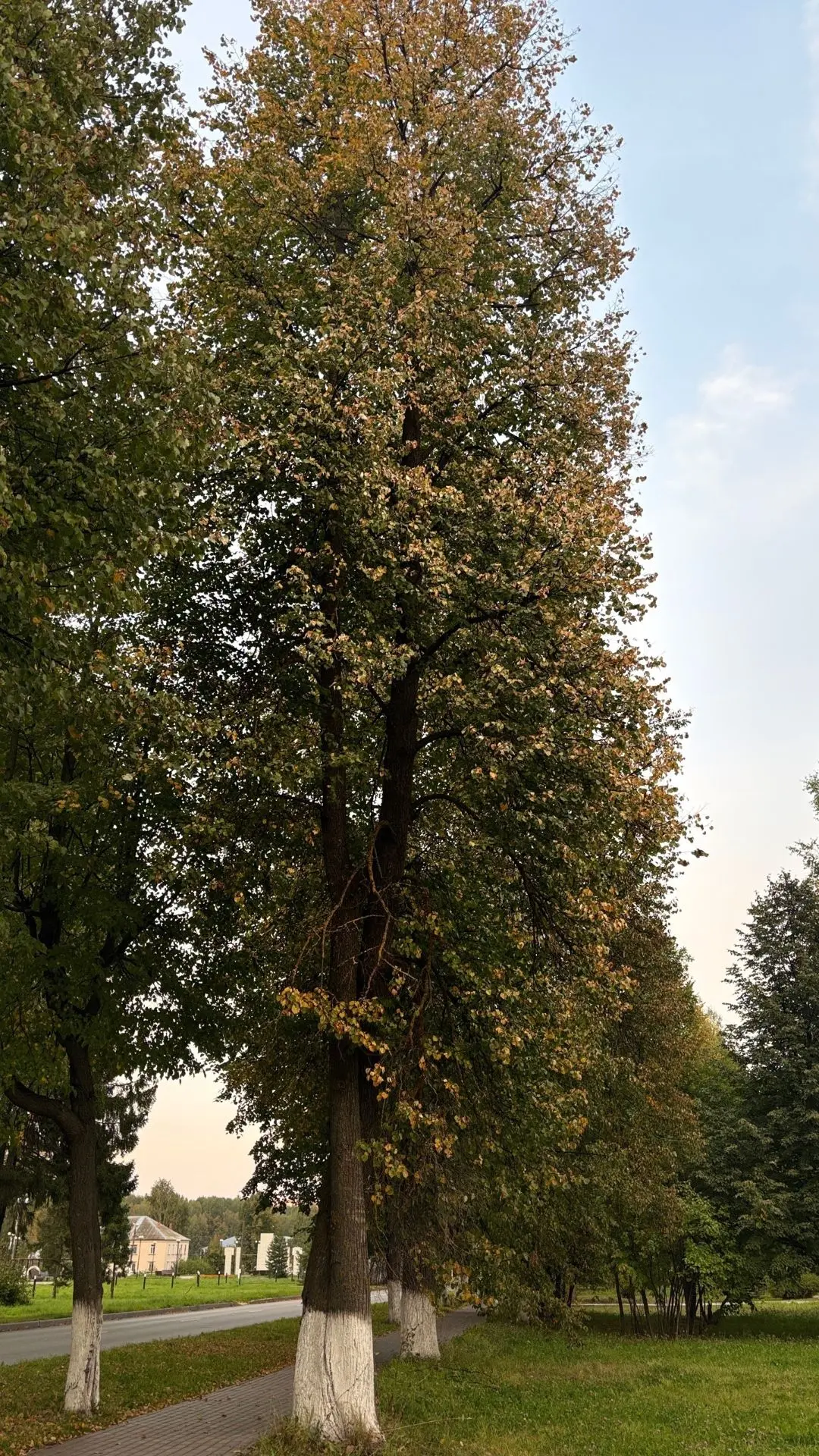 ❤️С добрым утром, друзья❤️