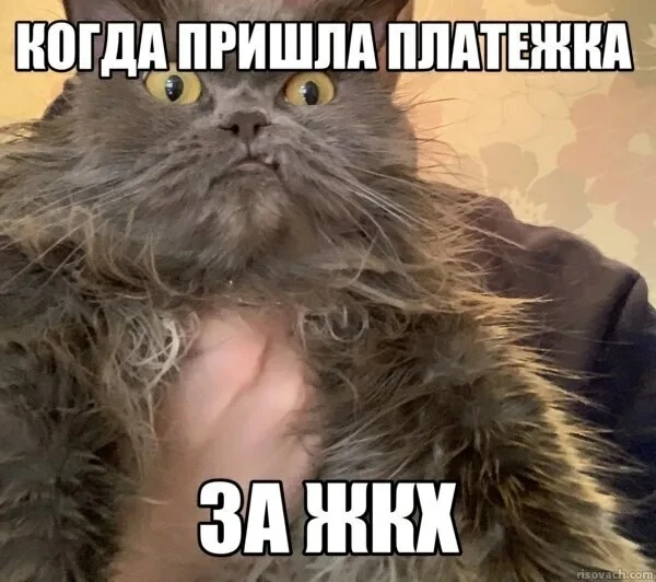 ⚡️ С сегодняшнего дня по всей России дорожает ЖКХ — тарифы взлетят сразу до 22%