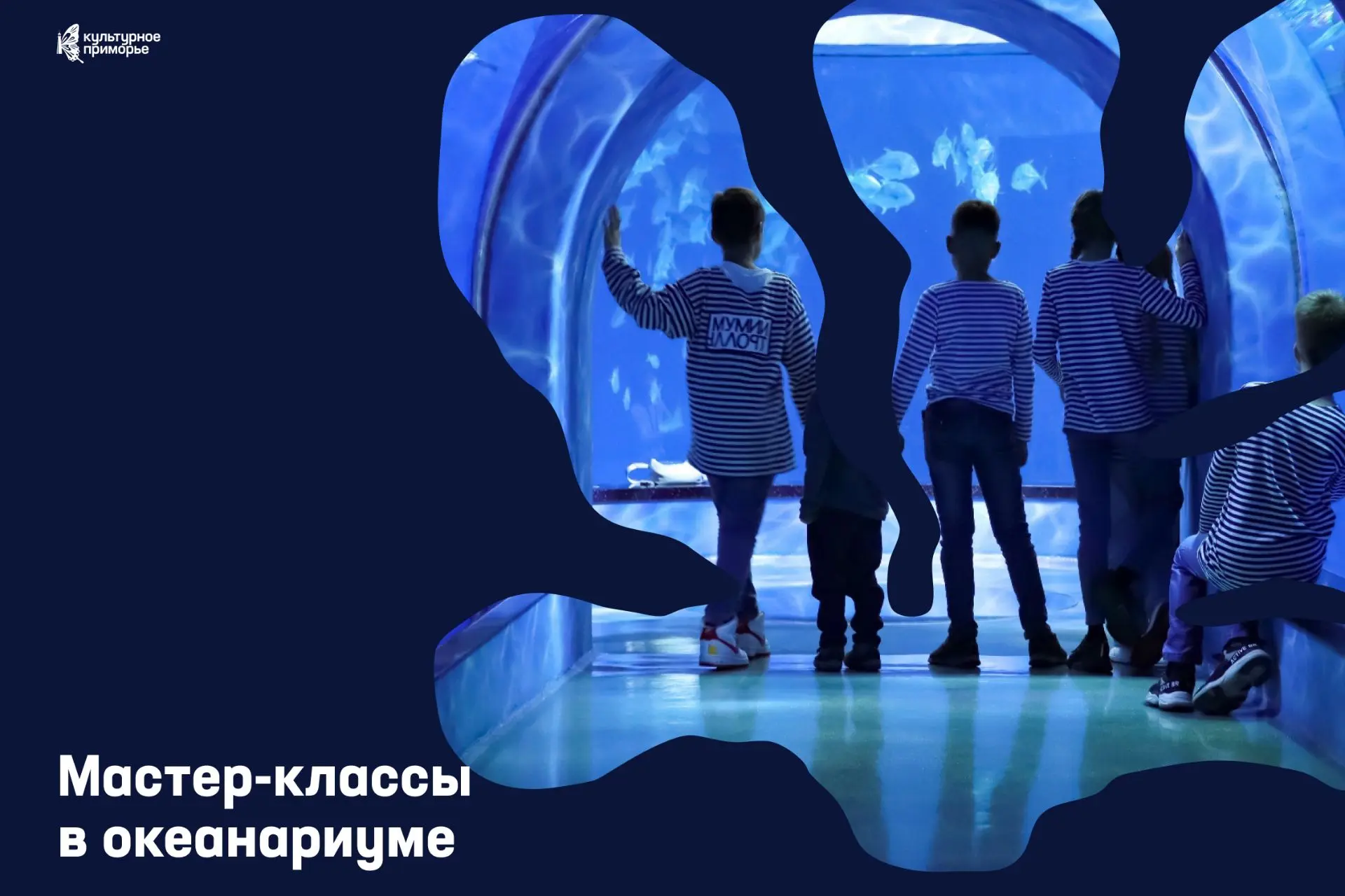 Наука, творчество и удивительный подводный мир. Чем заняться в океанариуме в сентябре 🪸