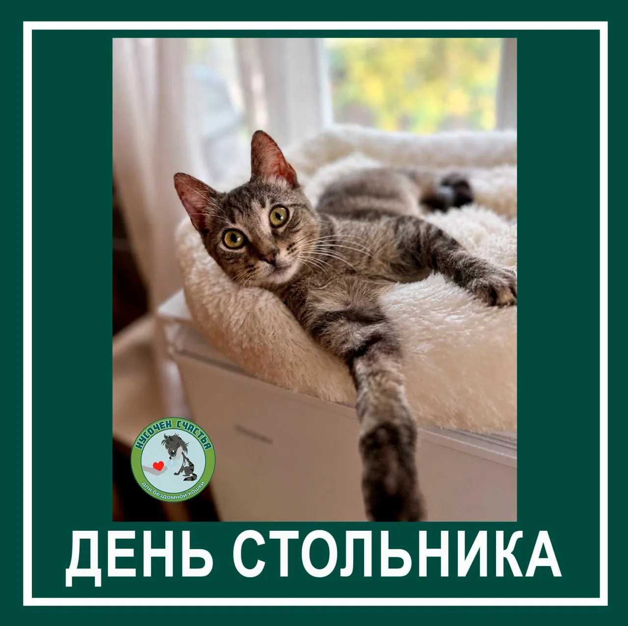 Дорогие друзья, мы желаем всем удачного начала рабочей недели. Сегодня понедельник, а э...