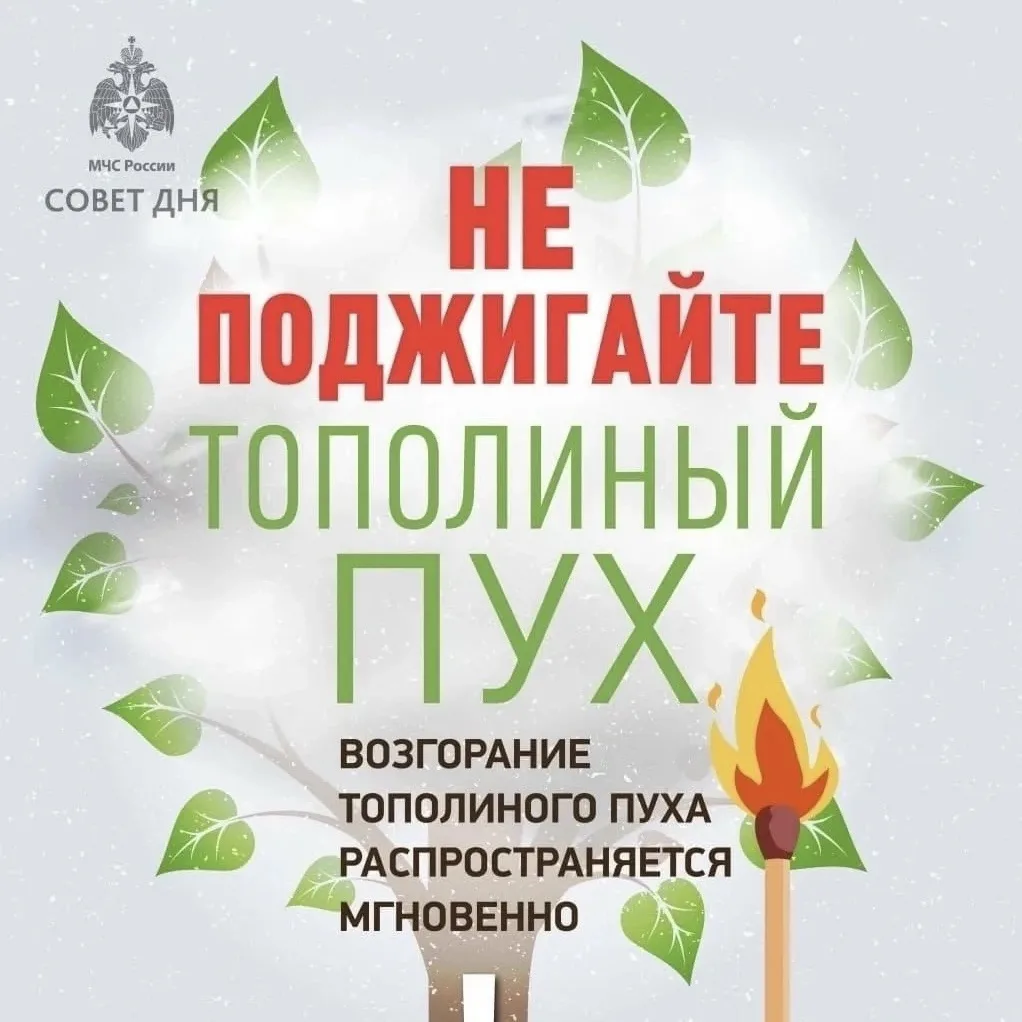 🔥Вчера в районе дома № 6 по ул. Мира произошло возгорание тополиного пуха, который пер...