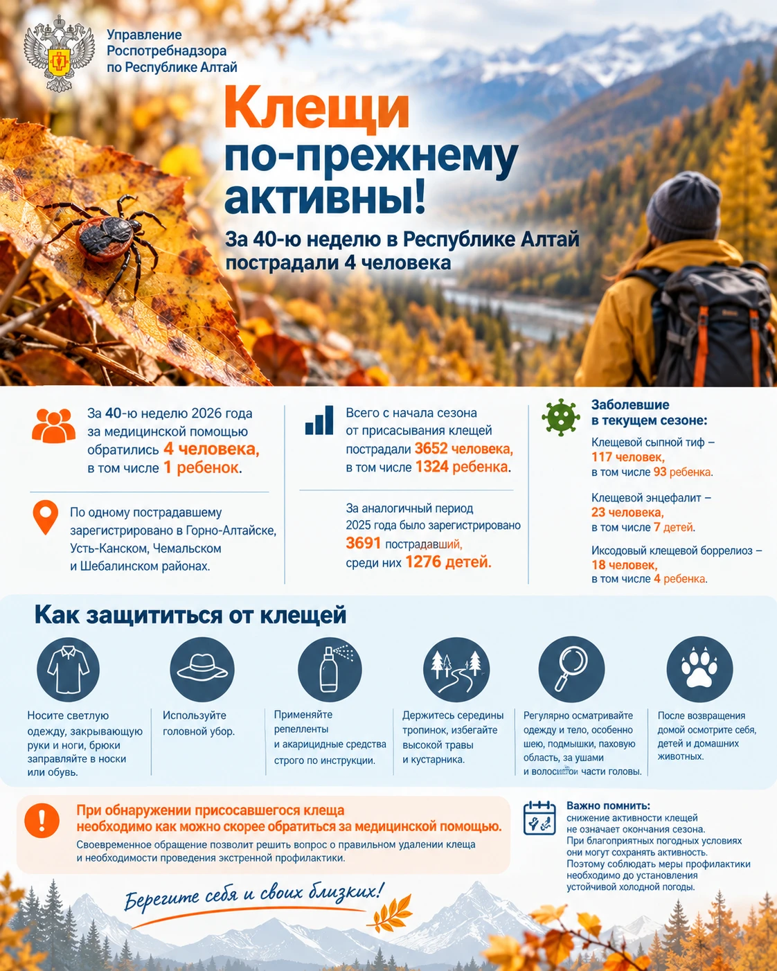 Клещи по-прежнему активны: за 40-ю неделю в Республике Алтай пострадали 4 человека