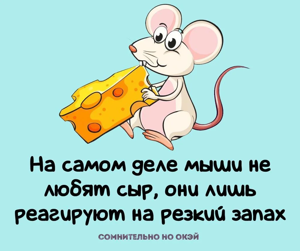 Признавайтесь, знали?