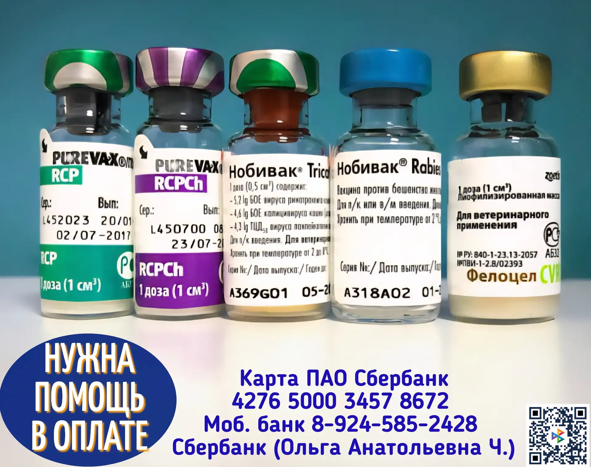 Друзья, нам необходимо закупить партию вакцины, чтобы защитить котиков от опасных инфек...