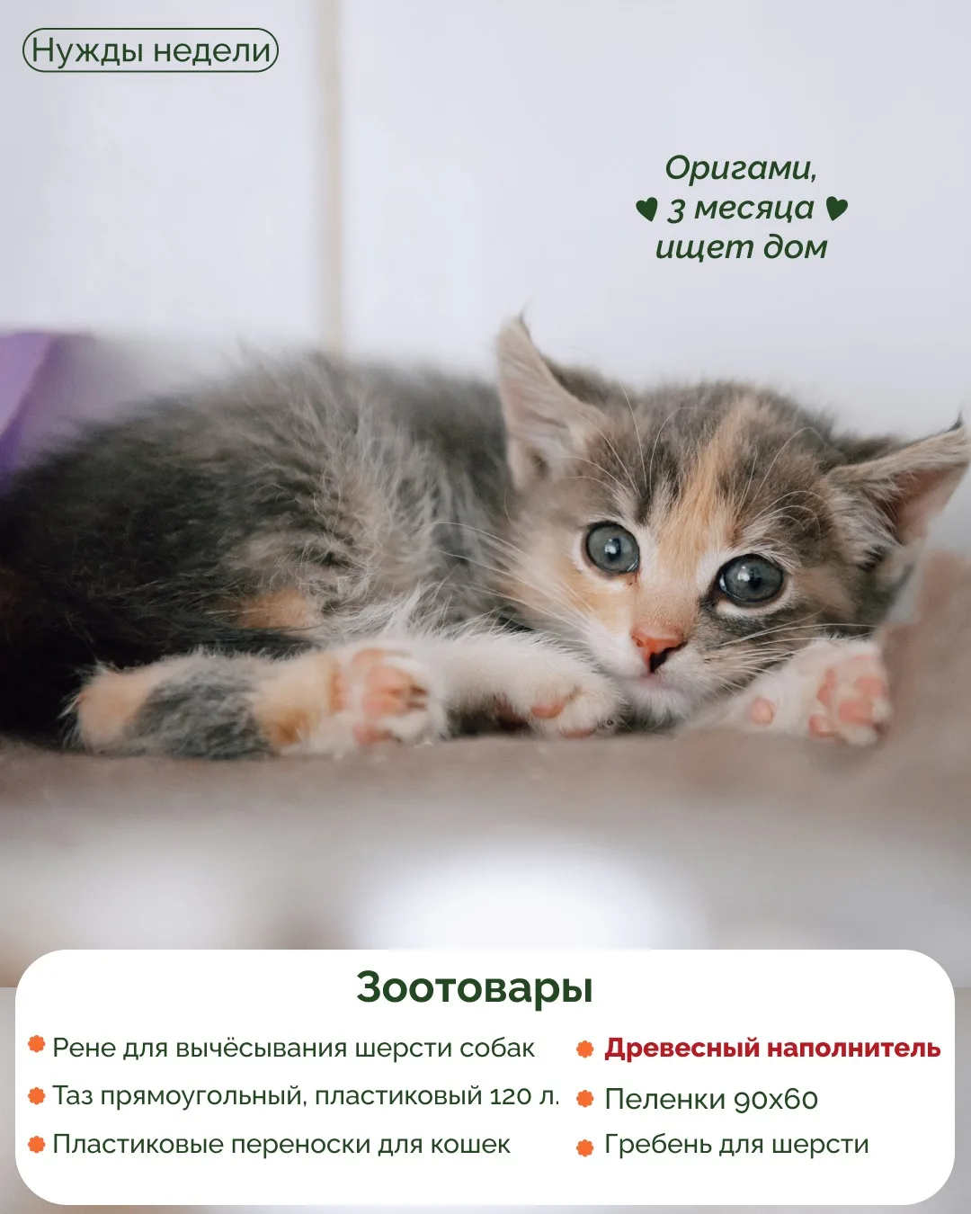 НУЖДЫ ПРИЮТОВ 🐾

Ждём всех в гости в приюты фонда «Ника»! Если захотите порадовать наших хвостиков 