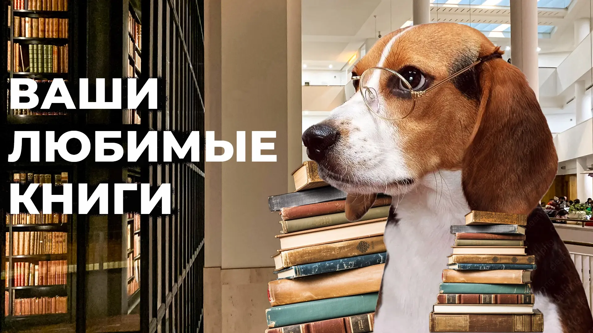 Есть книги, которые мы прочитываем за вечер и забываем на следующий день. А есть те, чт...