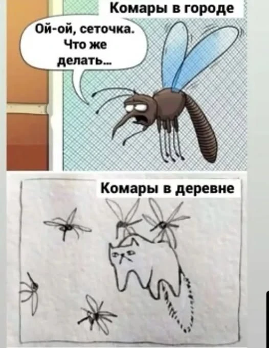 Мошкара на участке: 7 советов, которые реально работают
Сохраняйте, если каждое лето одна и та же пр