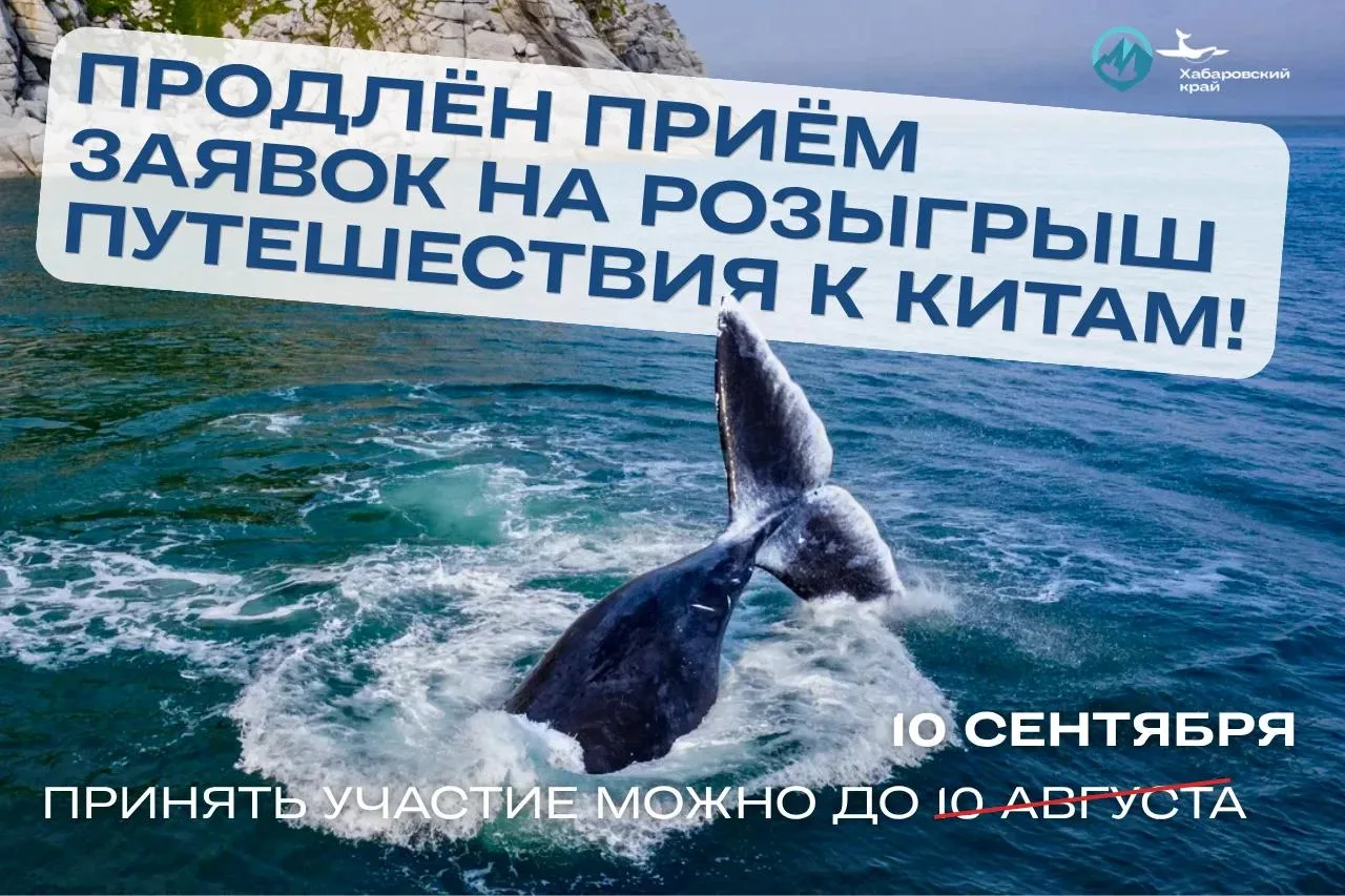 🐋 Ещё есть шанс выиграть путешествие к китам!