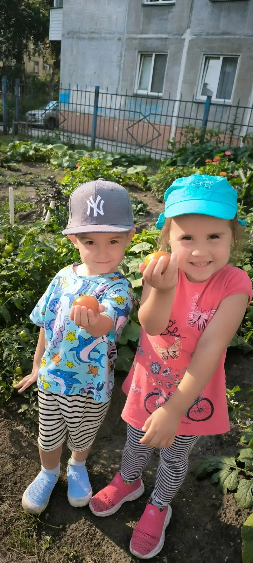 Инспекцию огорода провели ✅

Всё проверили, посмотрели, как растут наши посадки, и убедились, что вс
