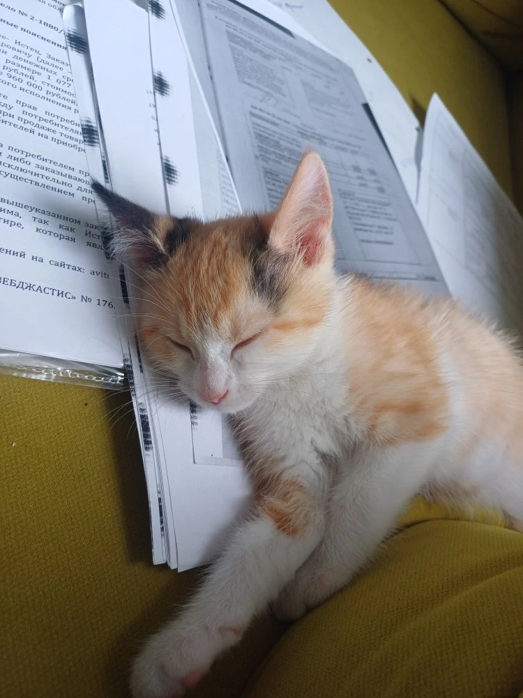Сегодня с самого утра работу работаю.🤪