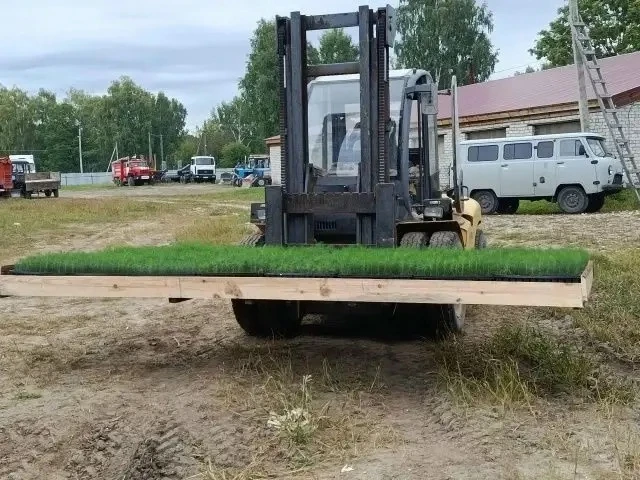 В республике дан старт новому этапу лесовосстановительных работ 🌲