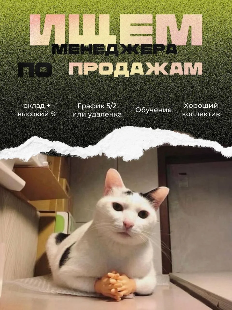 ✅ Стань частью команды «ЛАЙВ ДВ» — лидера медиарынка ЕАО!

Сейчас нам нужен тот, кто станет нашим гл