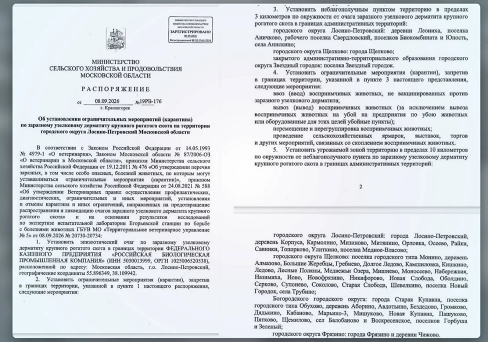 В Подмосковье объявили карантин из-за заразного узелкового дерматита крупного рогатого ...