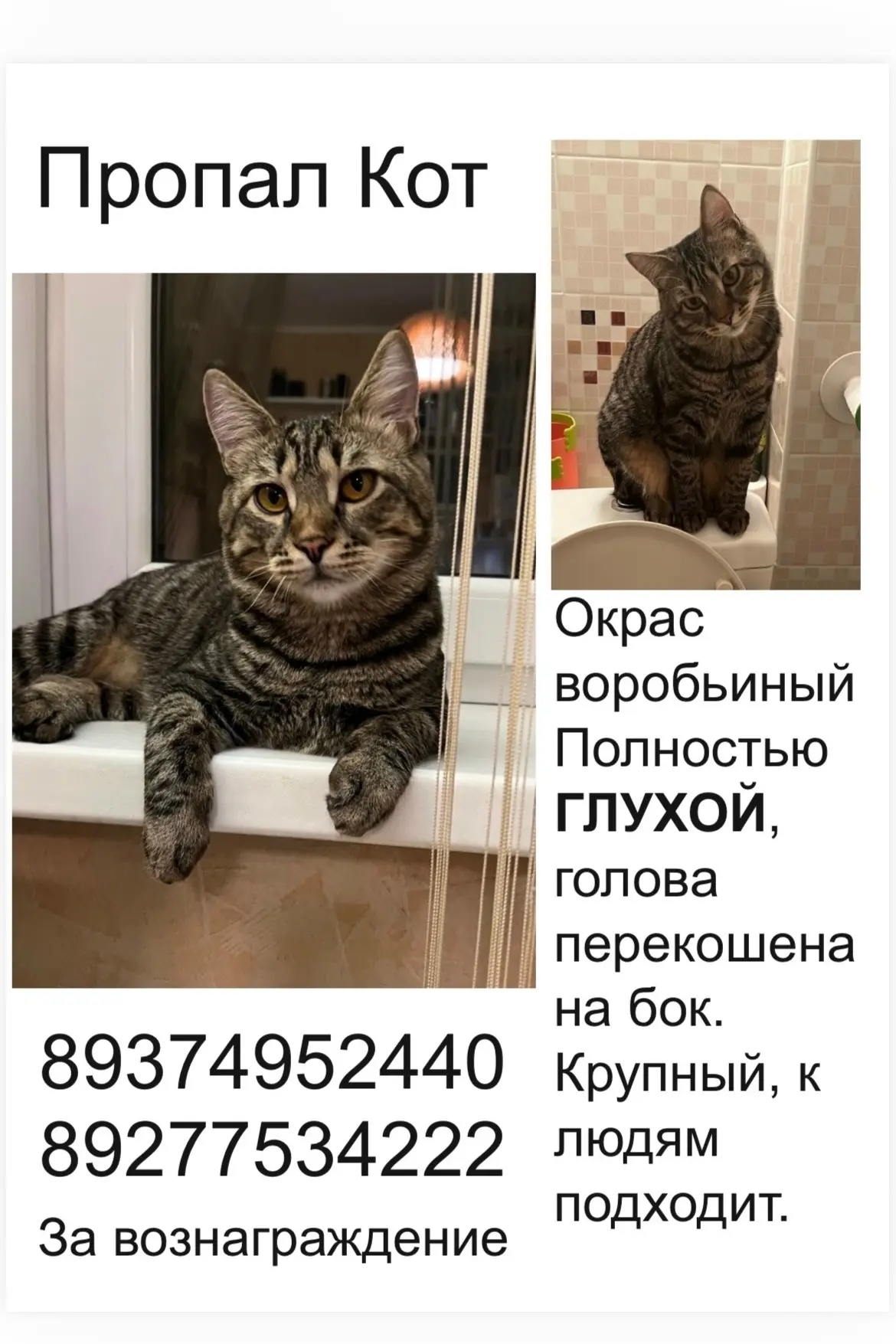 ВТС: Чапаева,Полевая,Гоголя,Суханова