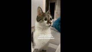 Видео: https://vk.ru/clip-3589559_456246409