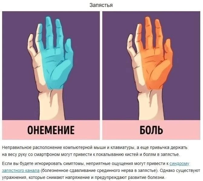 Для тех, кто большую часть времени проводит в положении «сидя»