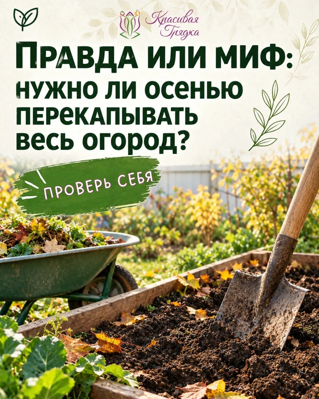 Каждую осень возникает один и тот же вопрос: нужно ли перекапывать весь огород?