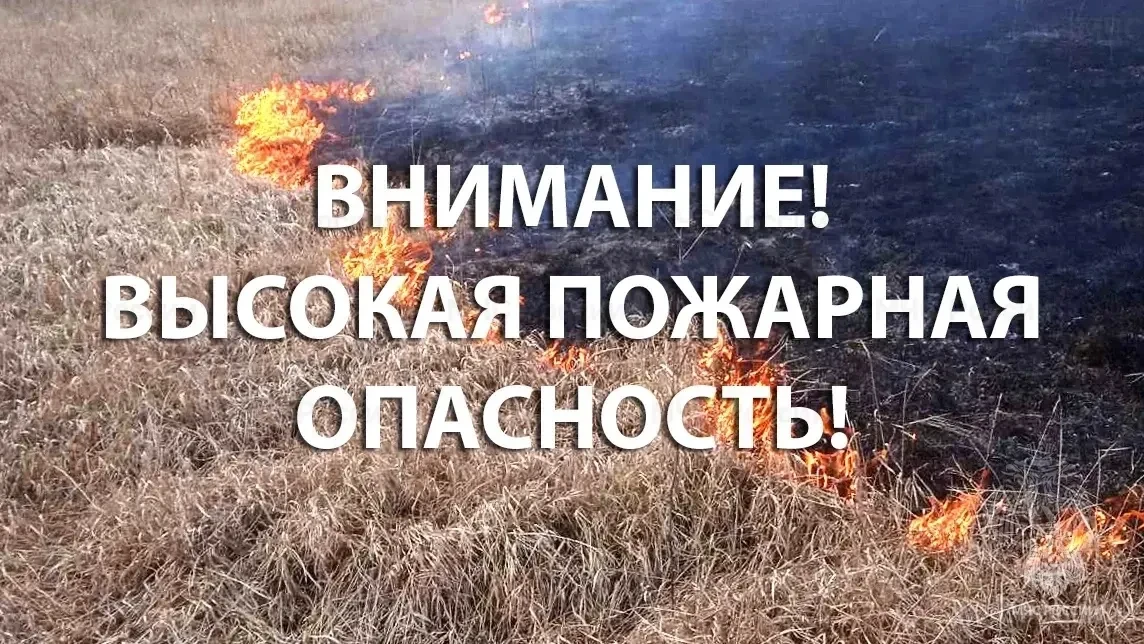 22.08.2026 в лесном фонде Республики Башкортостан прогнозируются