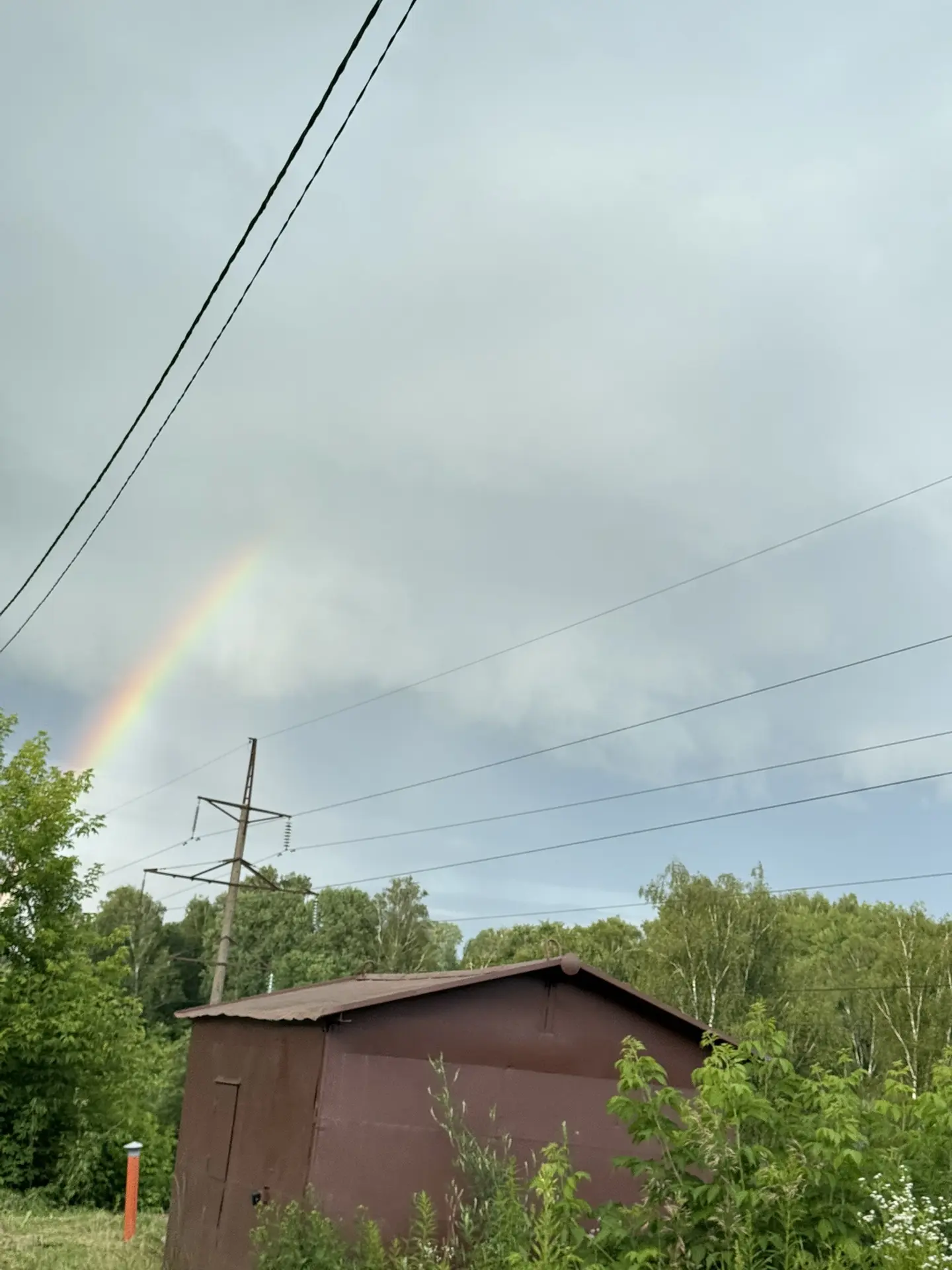 🌈