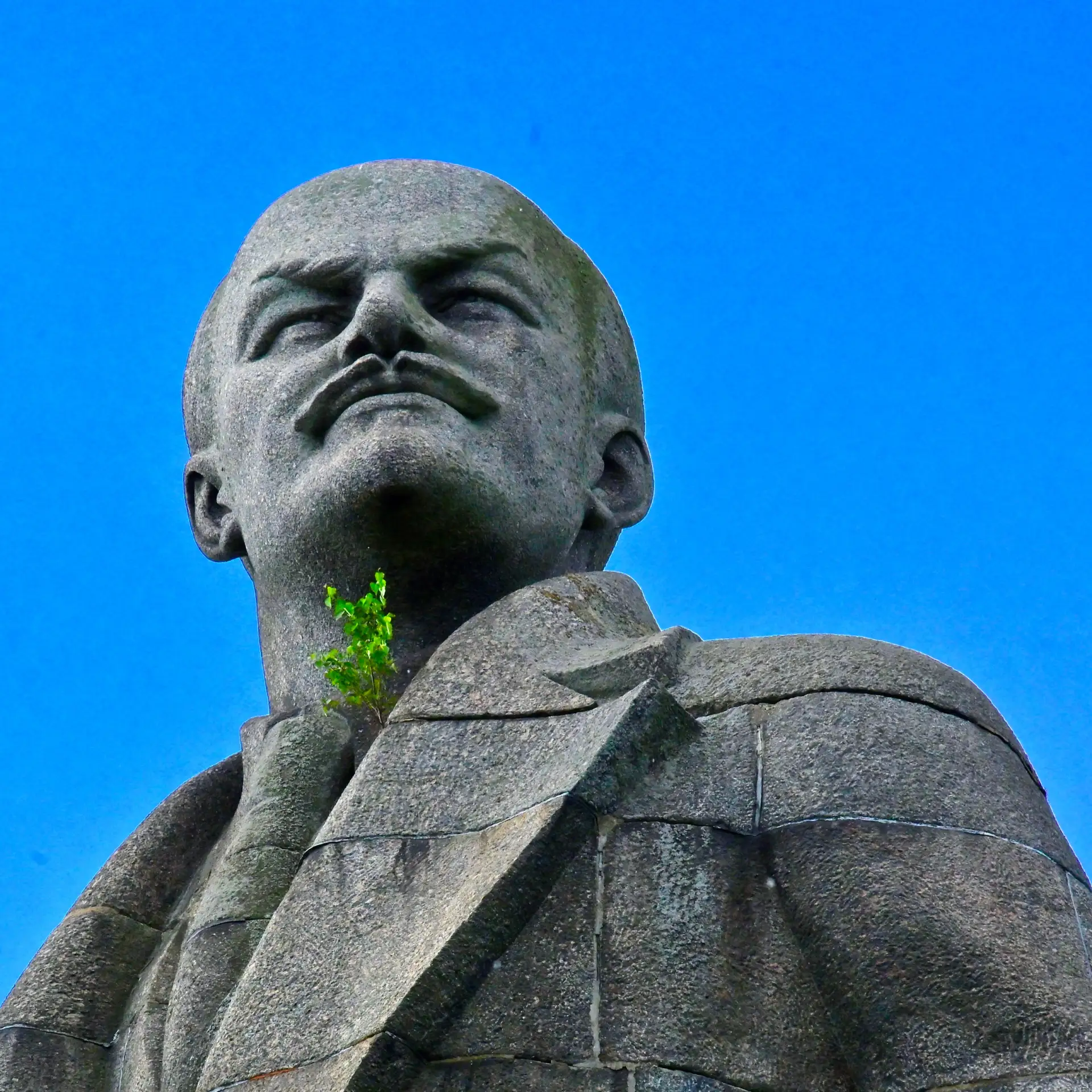 🗿 Дубна настолько зеленый город, что деревья растут даже из Ленина. Судя по всему, это береза. Жаль