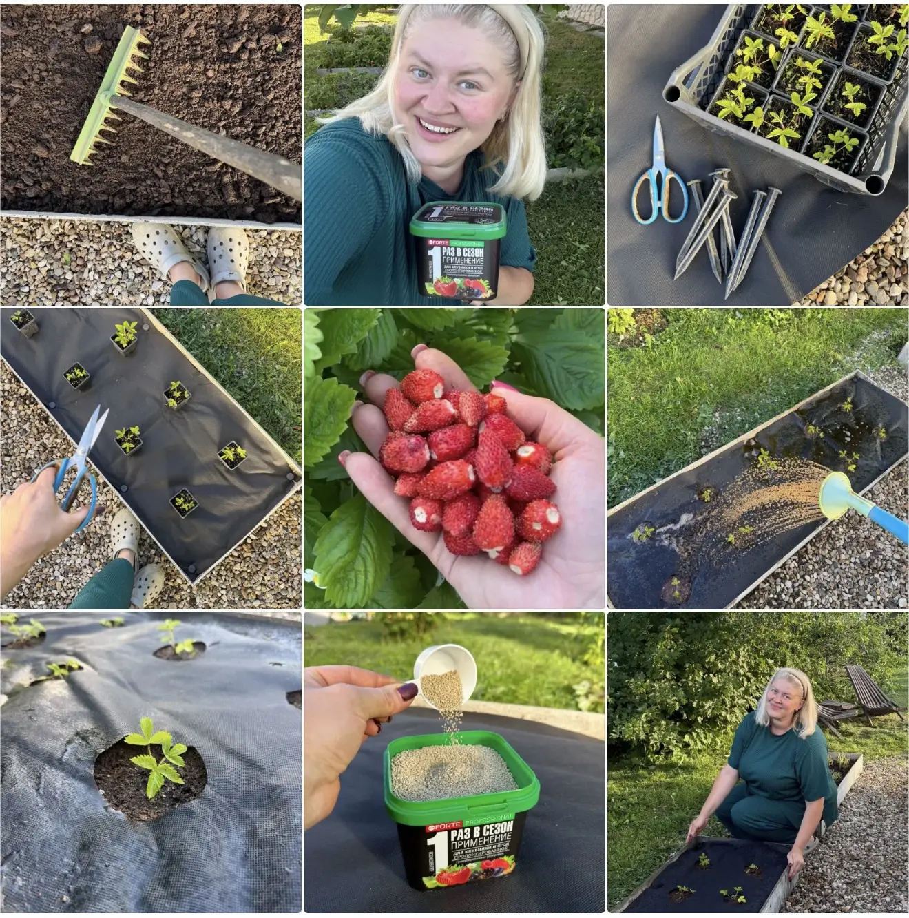 САЖАЕМ ЗЕМЛЯНИКУ 🍓