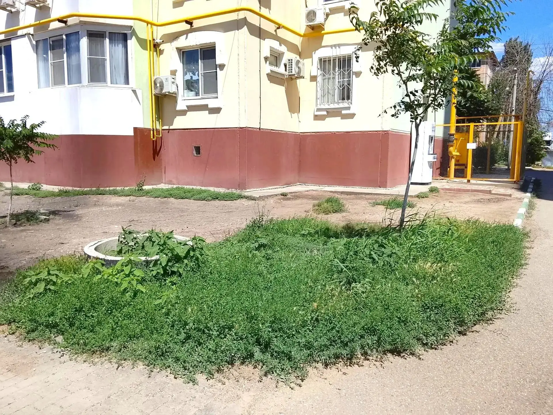 К новости «🟢 Время свежести: обновили газоны!»