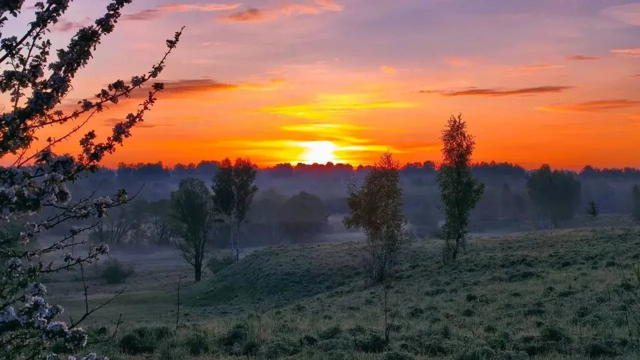 😍Завораживающий рассвет сегодня над Брянщиной



Подписаться: @zhestbryansk_32